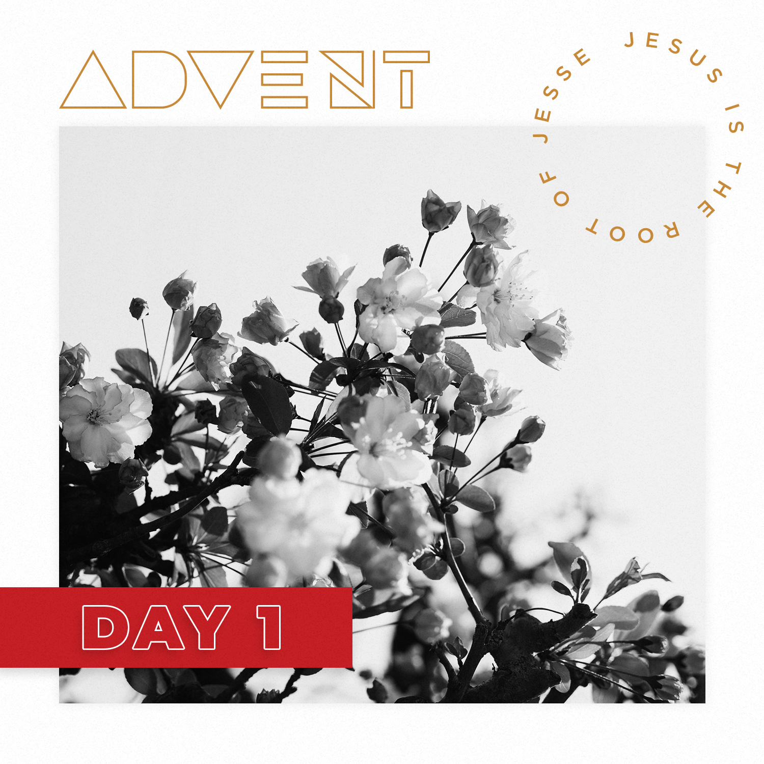 Advent-Day-1