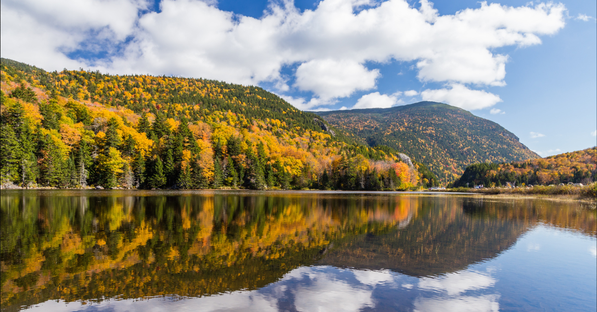 Seasons of Change - Blog Title Image of fall foliage reflected in a lake.