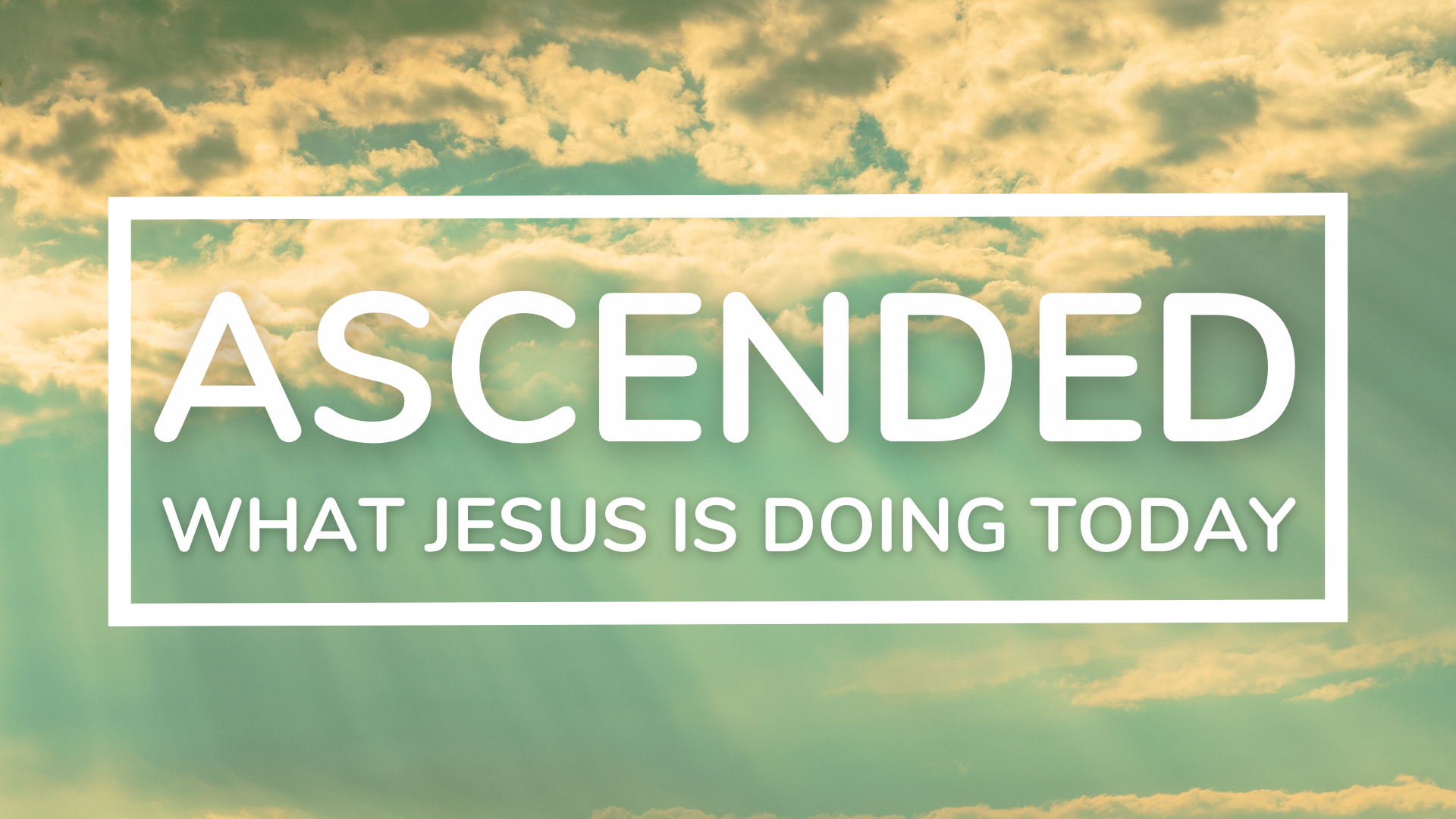 Ascended Series – The Good Shepherd